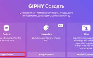 Как поставить гифку в zoom