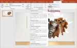 Как обрезать по контуру в powerpoint