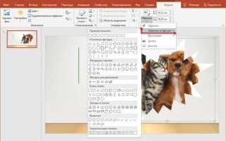Как обрезать по контуру в powerpoint