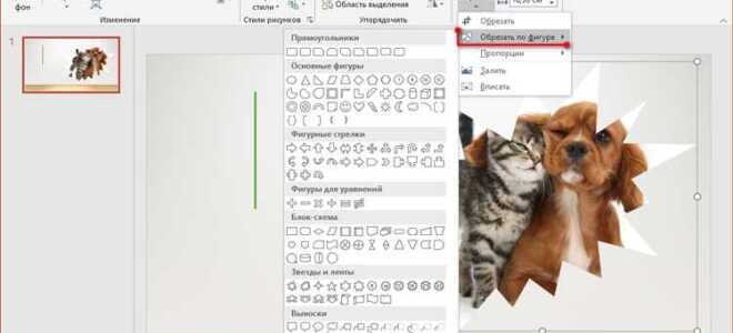 Как обрезать по контуру в powerpoint