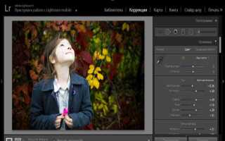 Как сделать пресет в lightroom на айфоне