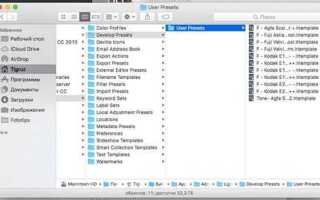 Что такое пресеты для lightroom