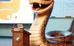 Какие задачи можно решать используя язык python stepik