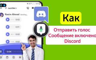 Как отправить сообщение discord py