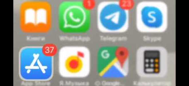 Как пользоваться zoom на айфоне