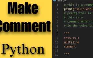 Как записываются комментарии на python