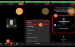 Как показать презентацию в zoom с телефона