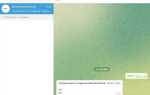 Как узнать свой chat id telegram