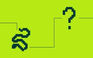 Сколько требуется времени для изучения python
