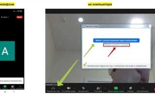 Как в zoom отключить чат
