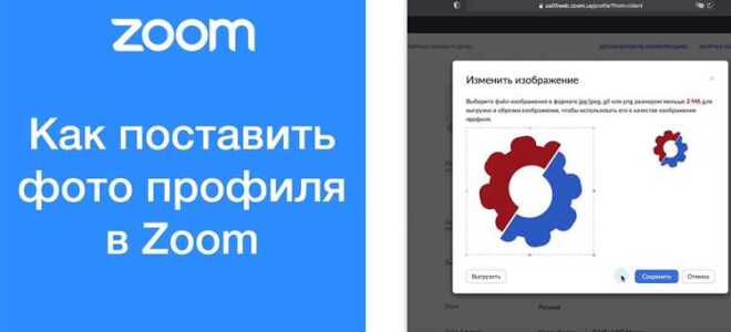 Как поставить гиф на аву в zoom