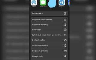 Как сделать пустой статус в whatsapp