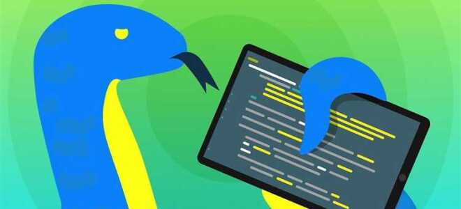 Как узнать папку python