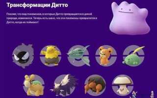 Где спавнится дитто в autocad