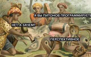 Как научиться писать ботов на python