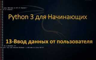 Как получить имя пользователя python