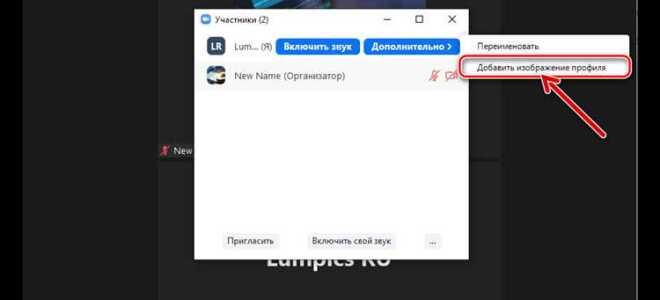 Как добавить фото в zoom