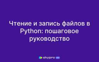 Как считать из файла python