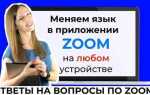 Как в zoom поменять язык