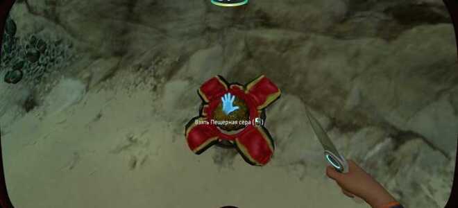 Где найти south maple