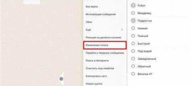Как изменить голос в zoom