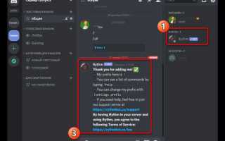 Как подключить музыкального бота discord