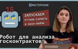Как создать и запустить скрипт на python
