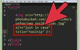 Как сделать картинку на фоне html