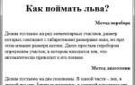 Как поместить текст по середине в html