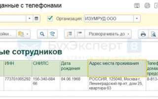 Где хранятся данные регламентированных отчетов 1с