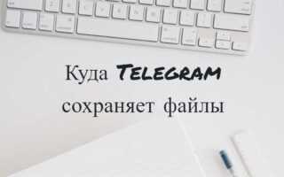 Куда telegram сохраняет файлы