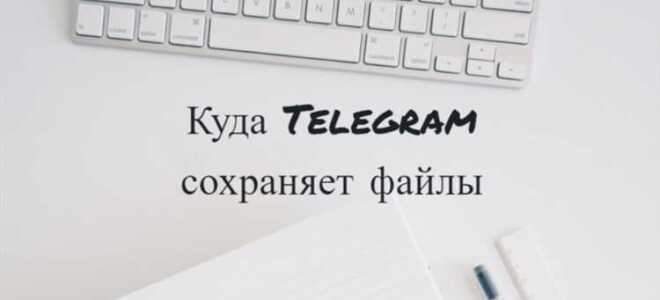 Куда telegram сохраняет файлы