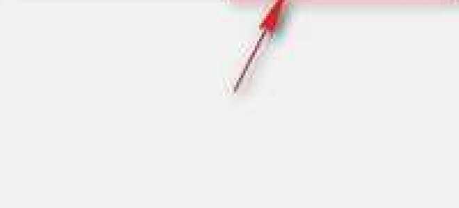 Где whatsapp хранит фото на андроид