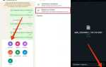 Как отправить видео без потери качества whatsapp