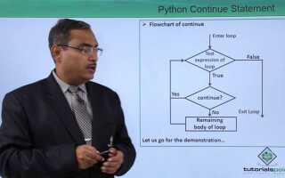 Что такое continue в python