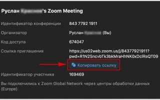 Как расшарить экран в zoom на macbook