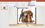 Как сделать обтекаемость картинки в powerpoint