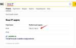 Как узнать ip адрес в zoom