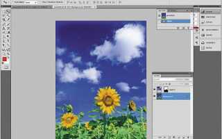 Как добавить картинку в coreldraw