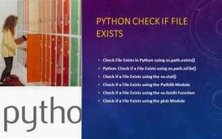 Как проверить существование файла python