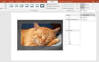 Как обрезать фото по форме в powerpoint