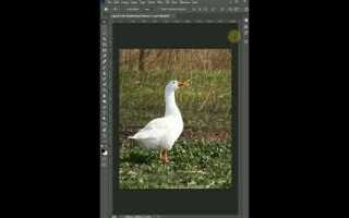 Как убрать пересвет на фото в lightroom