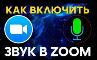 Как включить микрофон в приложении zoom