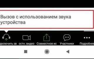 Как выключить звук в конференции zoom на телефоне