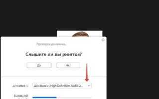Что делать если в zoom нет звука