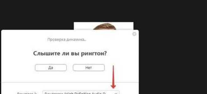 Что делать если в zoom нет звука
