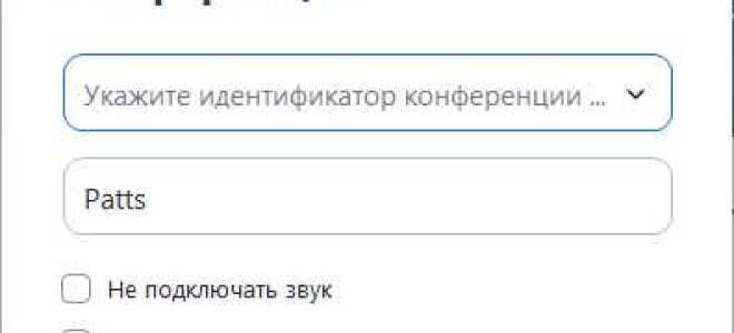 Как создать конференцию в zoom