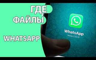 Где хранятся голосовые сообщения whatsapp