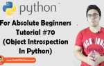 Что такое introspection python