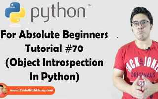 Что такое introspection python